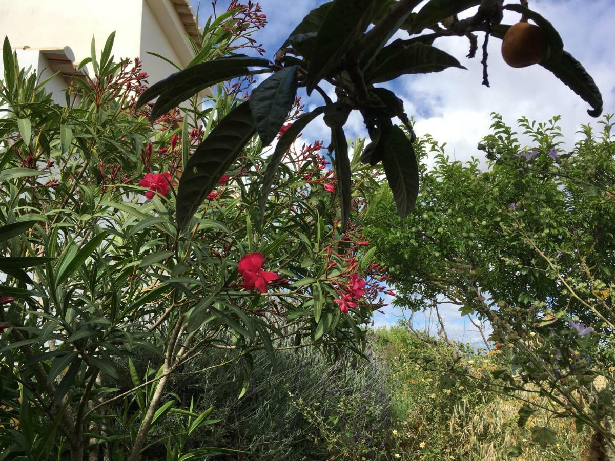 דירות לאגוּ‏ש Casa Guerreiro מראה חיצוני תמונה