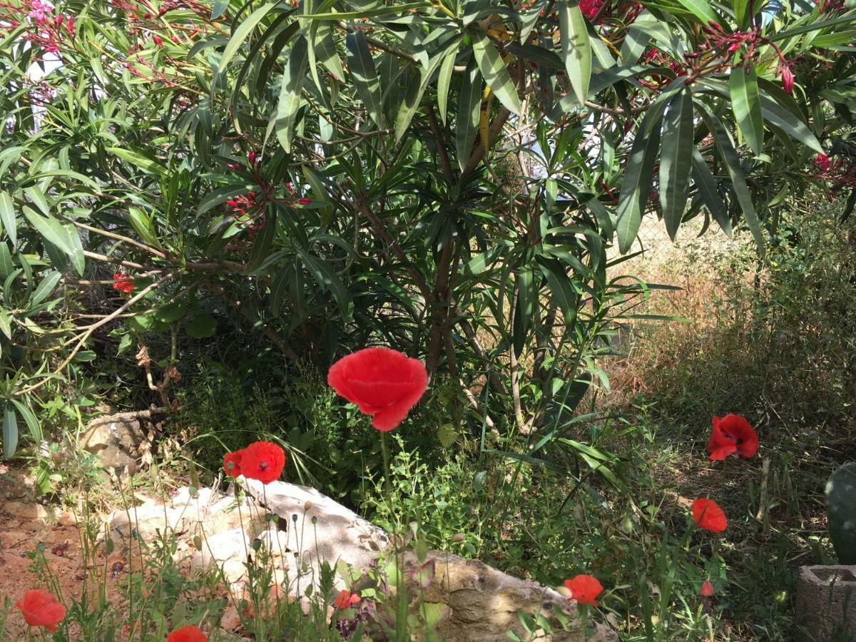 דירות לאגוּ‏ש Casa Guerreiro מראה חיצוני תמונה